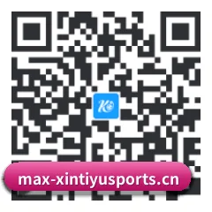 系统版 iOS 二维码